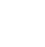 white lightbulb icon