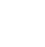 white bullseye icon